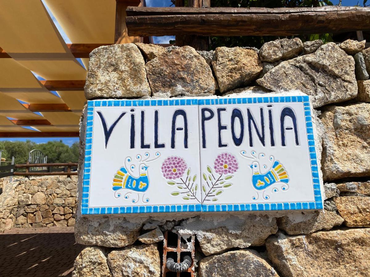 Villa Peonia ブドーニ エクステリア 写真