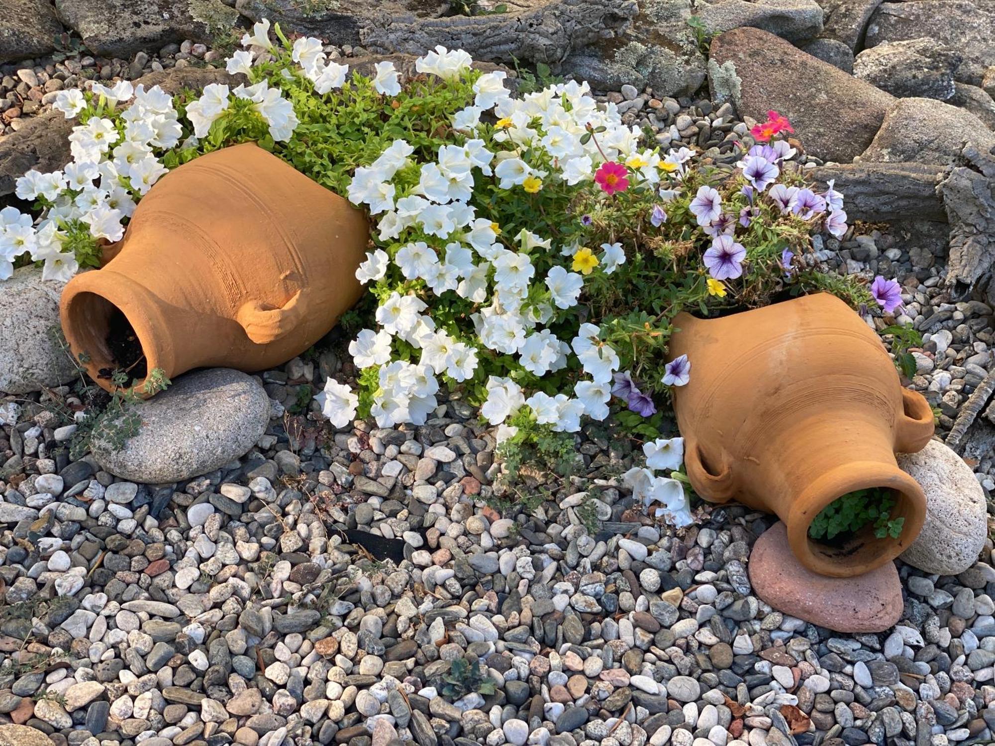 Villa Peonia ブドーニ エクステリア 写真